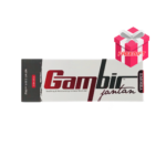 GGJ freegift